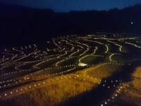 「鴨川棚田のあかり」（画像提供：鴨川市観光協会）