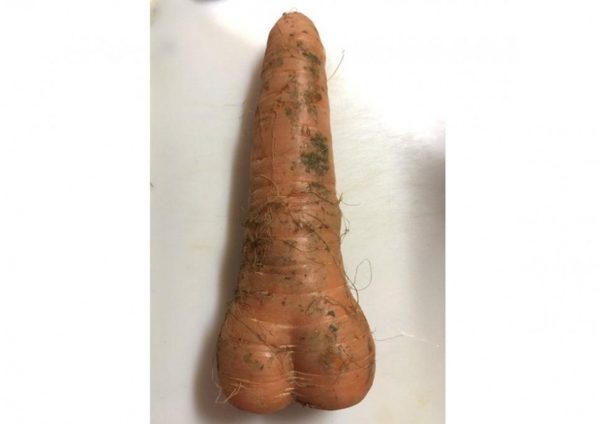 おお（画像は鉄平（＠Teppei_V25）さんが2021年2月10日に投稿したもの）