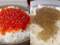 形は似ている