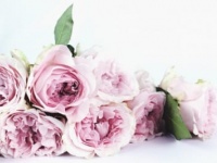 結婚なんて幸せじゃない。愛と結婚がちがう理由