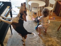 ピアノを弾きながら歌う犬と踊る少女の素敵なセッション