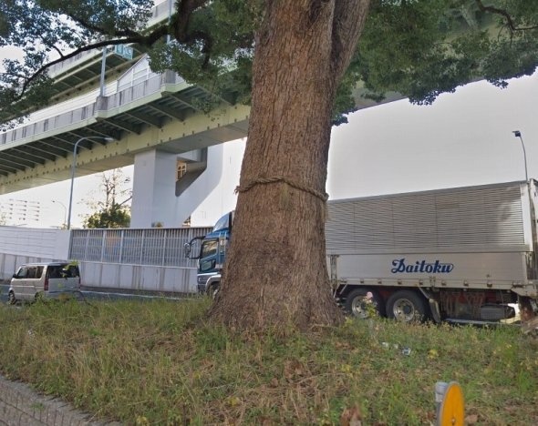 注連縄がある　（C）Google