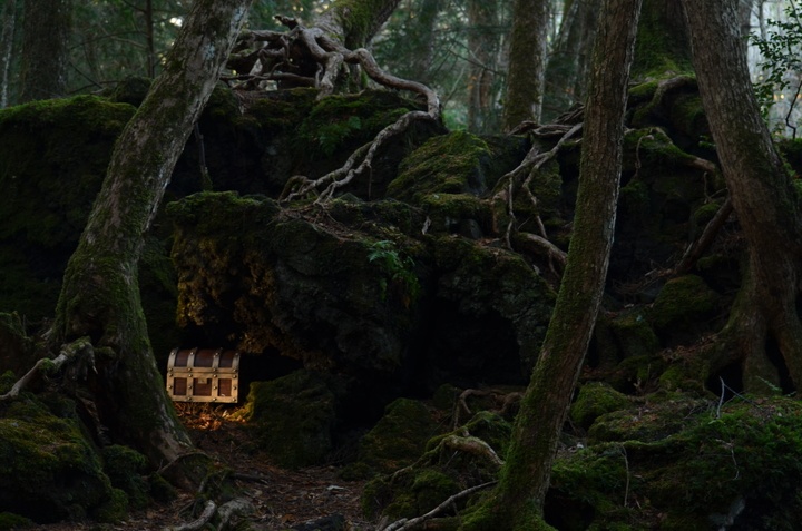 株式会社タカラッシュのプレスリリース画像