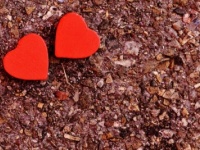 30代女性に聞いた！　出会いのきっかけと恋人の作り方