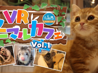 株式会社サファリゲームズのプレスリリース画像