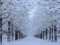 ​寒い季節、ノロウィルスに注意。自家製の経口補水液を紹介