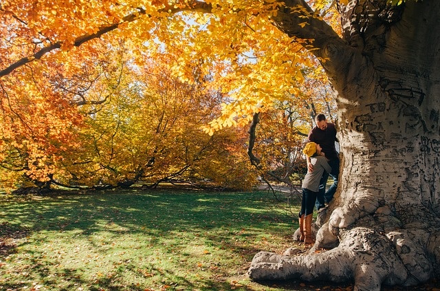 秋！紅葉デートを成功させて彼ともっと仲よくなろう