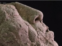 古代マヤ「パレンケの宇宙飛行士」との異名を持つパカル大王の仮面が発掘される（メキシコ）