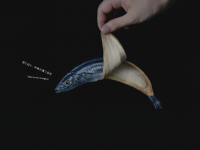 東洋紡株式会社のプレスリリース画像