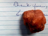 「これは呪いの石です」アメリカの自然公園宛てに突如届いた石と手紙