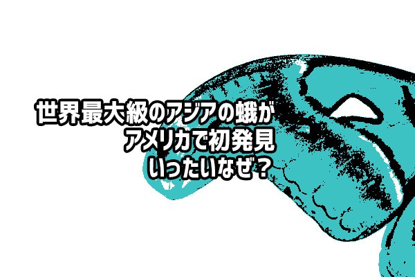世界最大級のアジアの蛾がアメリカで発見され当局が警戒（※蛾出演中）