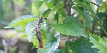 「Doctors Me（ドクターズミー）」コラム画像