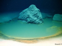 生命の起源解明や地球外生命探索のヒントになる、海底の「塩水溜まり」が発見される