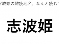 ヒント：し○○○