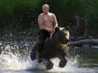 世界一行動力のある大統領、アクティブ・プーチンの写真特集