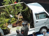 「何コレ！？」「めちゃくちゃ凄くて笑う」　富山市【軽トラ庭園コンテスト】にSNS驚嘆...なぜ荷台に庭を？市役所に聞く