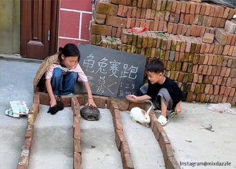 ウサギとカメを実際に競争させてみた。衝撃の結末はこの後すぐ！