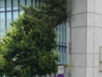 奈良地裁の公式サイトより