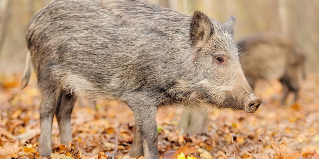 「Doctors Me（ドクターズミー）」コラム画像