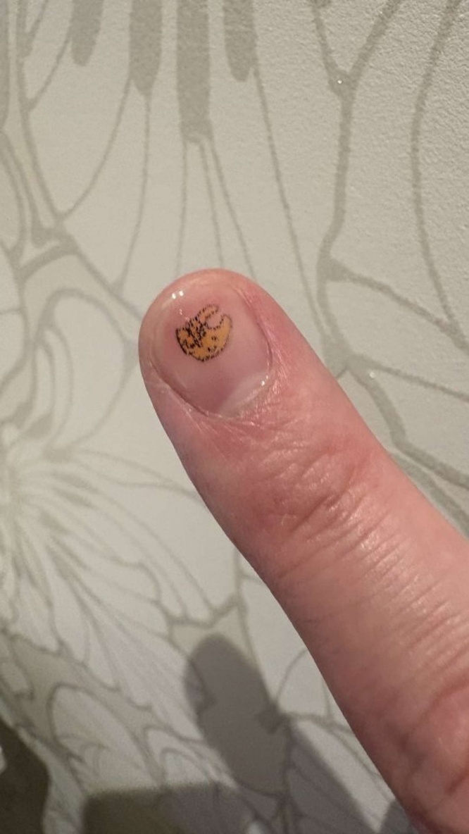 日常の中に、ちょっとしたワクワクを届けてくれるらしい、ちょこちゃん(画像はしば(@shibattdper)さん提供、再掲)