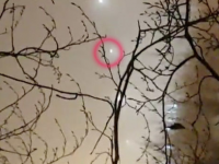 新しいロズウェル物語のはじまりなのか？5つの謎の光が撮影された動画が注目を集める（イギリス）