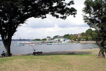 我孫子市の手賀沼公園（岡部碩道さん撮影、Wikimedia Commons