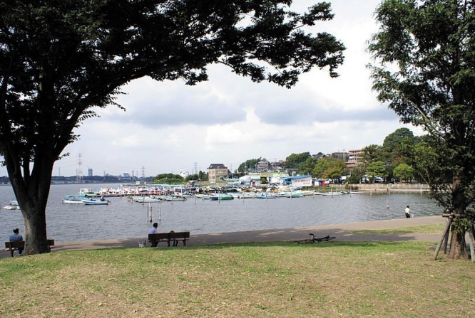 我孫子市の手賀沼公園（岡部碩道さん撮影、Wikimedia Commons