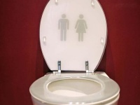 台所の棚にトイレがあるアパートがロンドンで貸し出し中！？