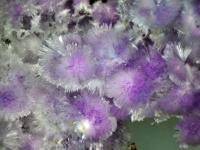 人間の活動によって作られた7種の新鉱物