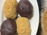 ほっこり甘そうな猫ちゃんに10万人の頬ゆるむ　「あら美味しそう」「食べたくなっちゃう」