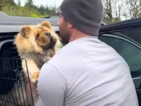 目の見えない犬が運命の人と出会い、他の感覚全てで愛情を感じ取り幸せに暮らすまでの物語