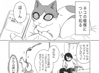 うすはるさんのツイートより