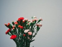 生理中「彼氏にしてほしくないこと」