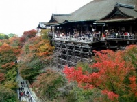 観光地の多い京都だが...