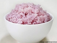 いきなり牛丼？米粒の中で牛の細胞を培養したハイブリッド米が誕生