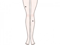 膝にほくろがある人は「晩婚タイプ」【ほくろ占い】