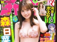 ⒞秋田書店