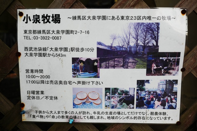 tokyo-koizumibokujyo14