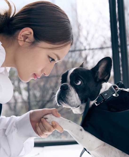 Instagram：川口春奈(@haruna_kawaguchi_official)より