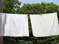 ショック！　生理の血で汚してしまったもの4つ