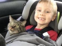 少年がサンタに託した願いは「山火事で行方不明になった猫が戻ってきますように」そしてその願いが叶う！（アメリカ）