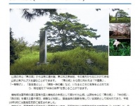至って普通の史跡です（画像は静岡県観光協会サイト「ハローナビしずおか」より）