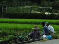 佛教大学学生 「紫野シニア大学」第三弾を開催