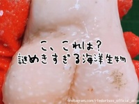 漁師が海から引き揚げた禁断の海洋生物。人類は試されているのか？