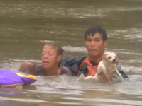 リアルヒーロー！ 川に水没した車内から女性と犬を救った男性に称賛の嵐