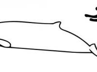 パッブスオウギハクジラの大きさを表すイラスト（Chris huhさん作成、Wikimedia Commmonsより）