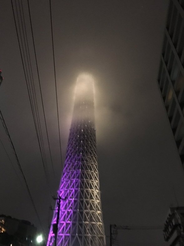 3木（＠miki_3k_yh）さんのツイート