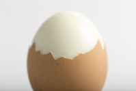 ゆで卵の殻がむきにくいのは新鮮な証拠！ では簡単にむくコツは？