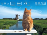 辰巳出版株式会社のプレスリリース画像