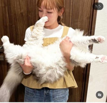 Instagram:加護亜依(@ai.1988kg)より